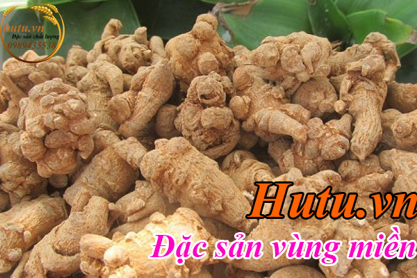 Cách dùng công dụng Tam thất vị thuốc tuyệt vời cho sức khỏe