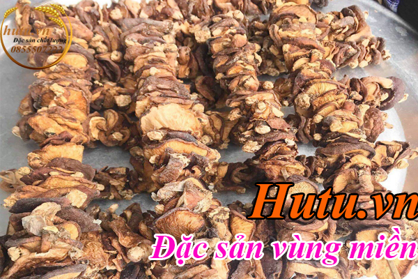 Cách nhận biết công dụng nấm hương rừng chuẩn như thế nào