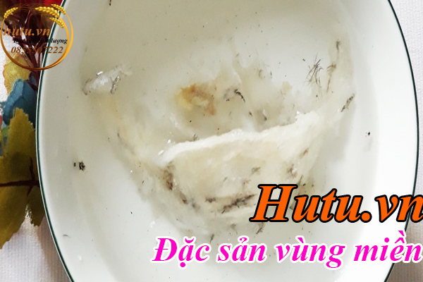 Phân biệt yến sào thật và giả cần phải chọn nơi mua uy tín