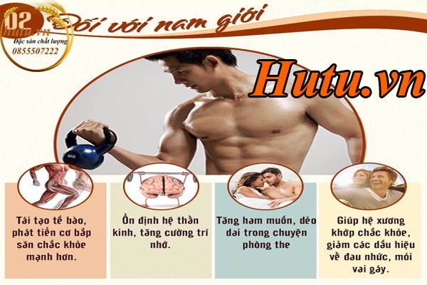 Tác dụng của yến sào với nam giới vô cùng tuyệt vời