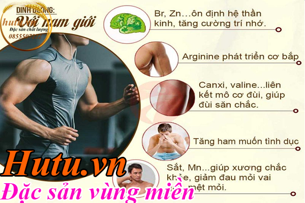 Tác dụng của yến sào với nam giới tái tạo tế bào