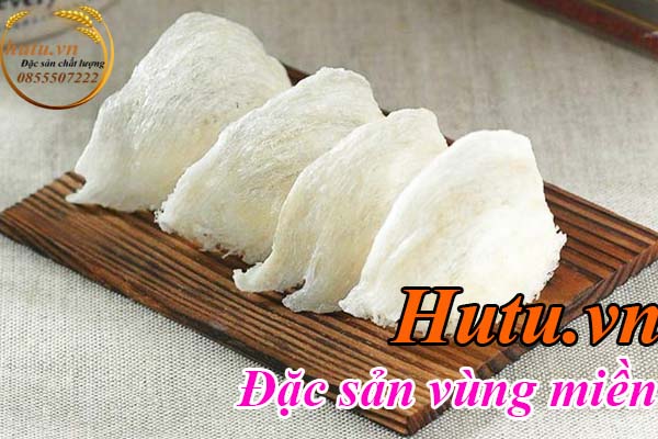 Tổ Yến Sào Là Gì