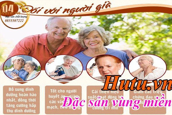 Yến sào cho người già tăng cường đề kháng giảm thiểu bệnh tật