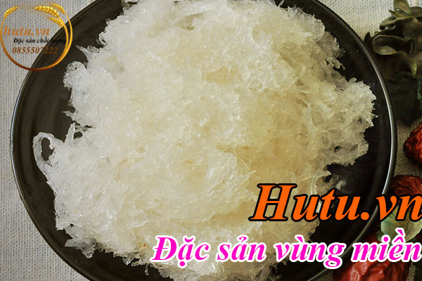 Yến tươi là gì Có Tác dụng như thế nào