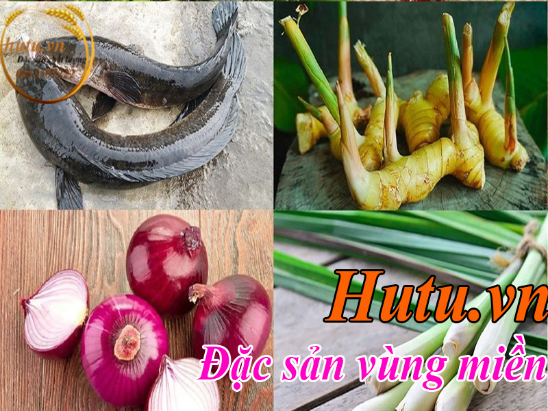 Nguyên liệu cá lóc nướng riềng sả đặc sản Ninh Bình