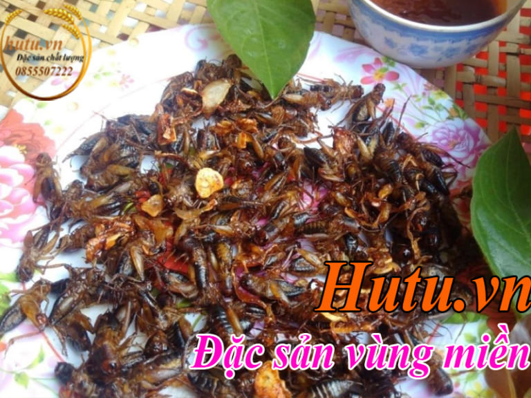 Dế chiên Kon Tum đặc sản ngon lạ miệng - Hutu.vn - Đặc sản vùng miền ...