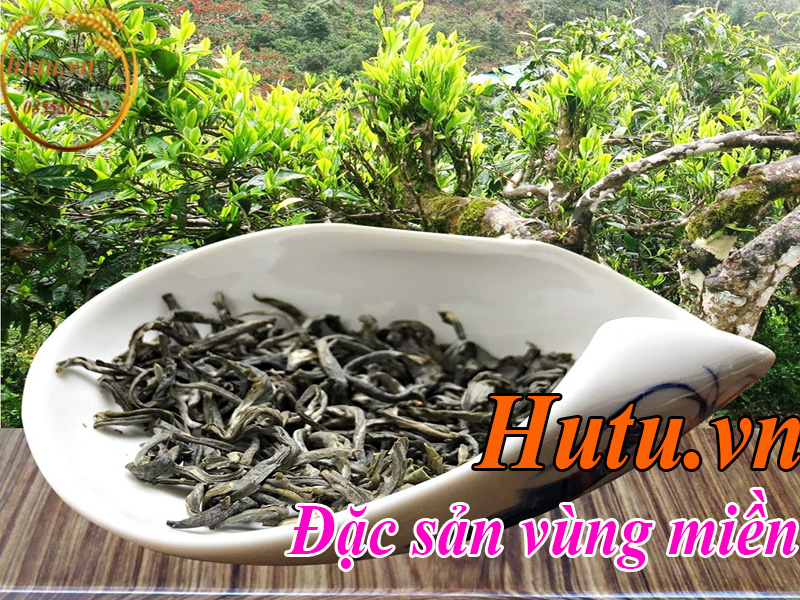 Loại Chè Shan tuyết suối Giàng thượng hạng cao cấp